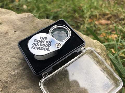 Expand image for Field Lenses (opens a new window)